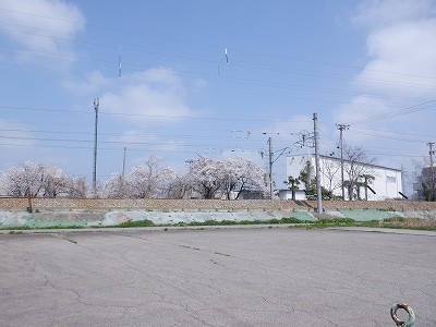 �z�����w�摜