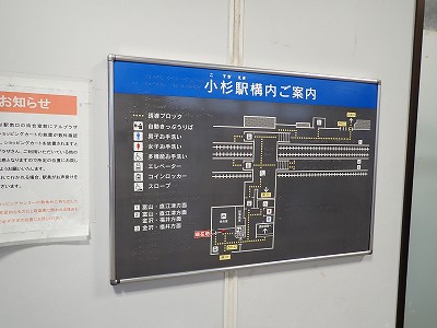 �����w�摜
