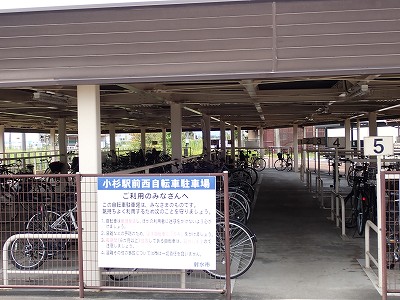 �����w�摜