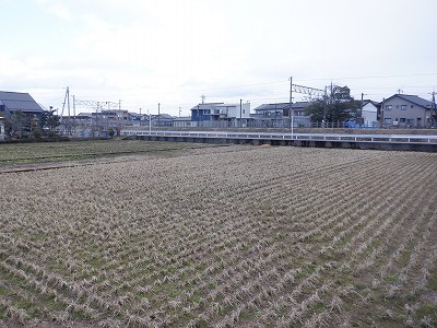 w摜