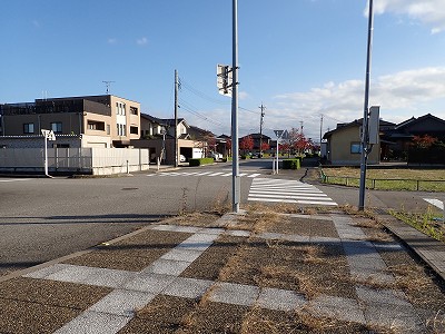 w摜