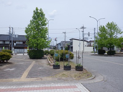 w摜