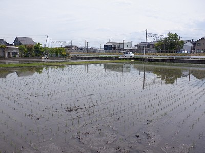 w摜