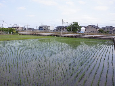 w摜