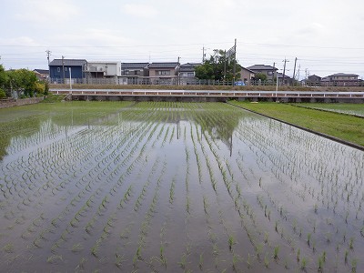 w摜