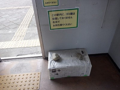 w摜