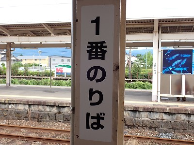 ����w�摜