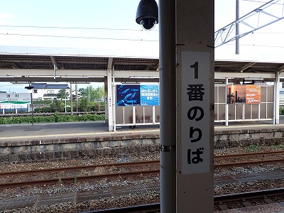 ����w�摜