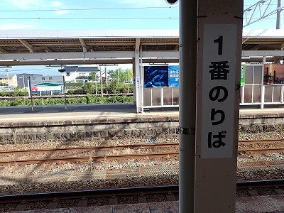 ����w�摜
