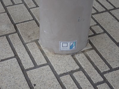 ����w�摜