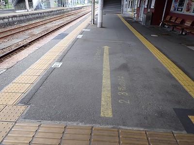 ����w�摜