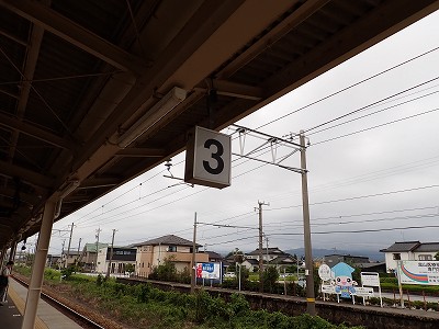 ����w�摜