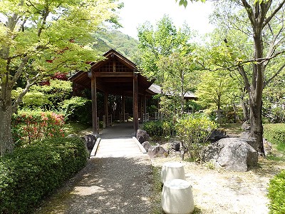 �֒�M�C�w�摜