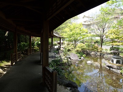 �֒�M�C�w�摜