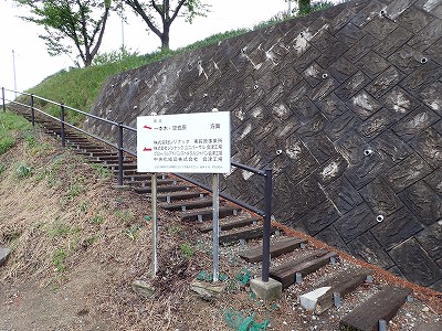 �������w�摜