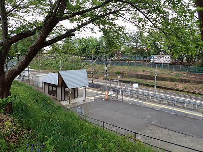 �������w�摜