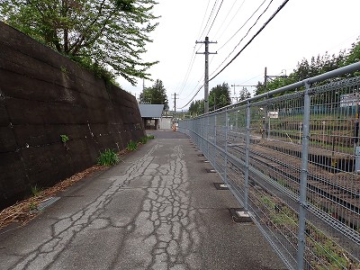 �������w�摜