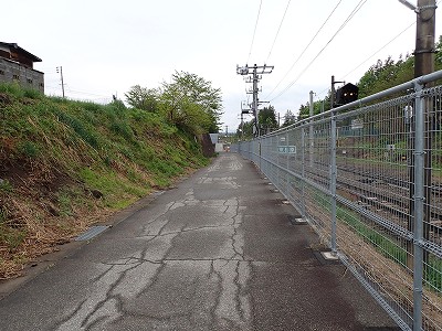 �������w�摜