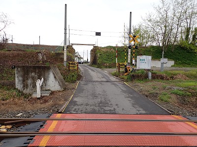 �������w�摜