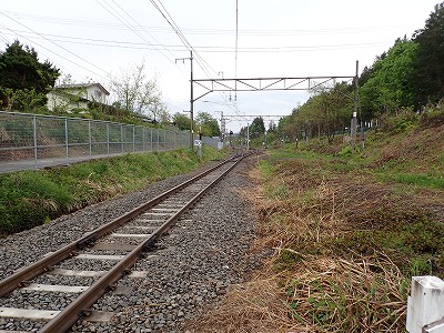 �������w�摜