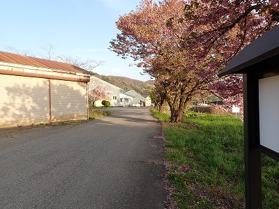 �쌅�w�摜