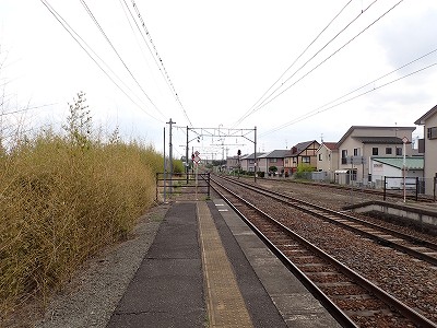 ��v�c�w�摜