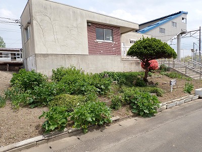 ��v�c�w�摜