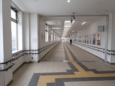 �S�R�w�摜