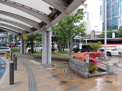 �S�R�w�摜