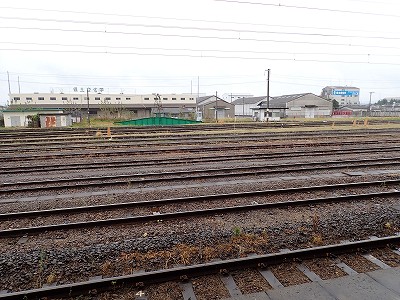 �S�R�w�摜