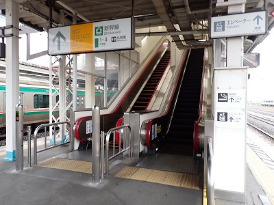 �S�R�w�摜
