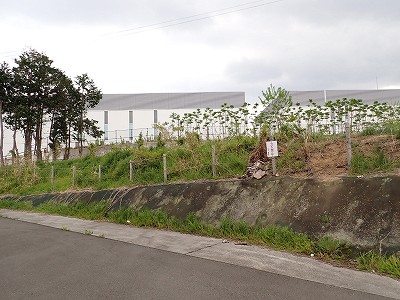 �S�R�x�c�w�摜