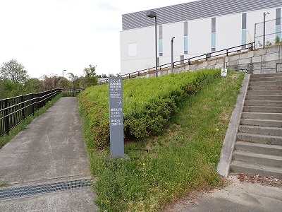 �S�R�x�c�w�摜