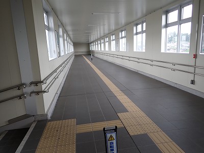 �S�R�x�c�w�摜