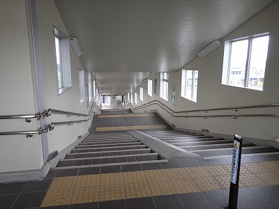 �S�R�x�c�w�摜