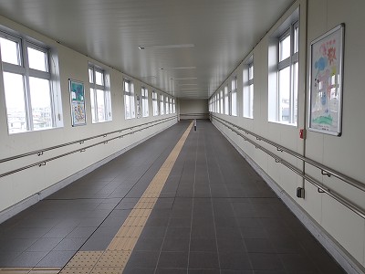 �S�R�x�c�w�摜