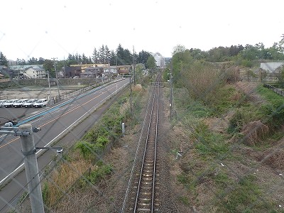 �S�R�x�c�w�摜