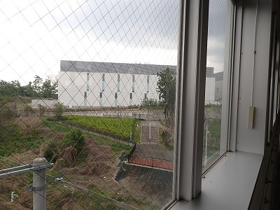 �S�R�x�c�w�摜