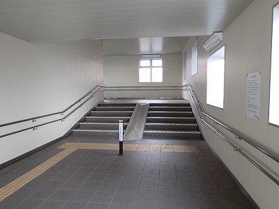 �S�R�x�c�w�摜