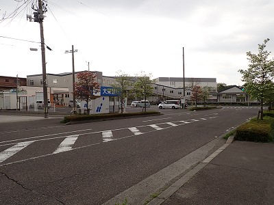 �S�R�x�c�w�摜