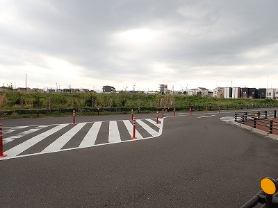 �S�R�x�c�w�摜