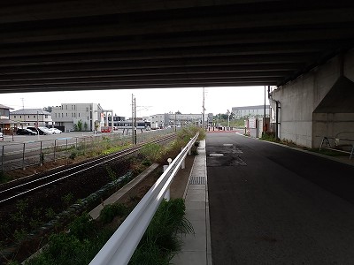 �S�R�x�c�w�摜