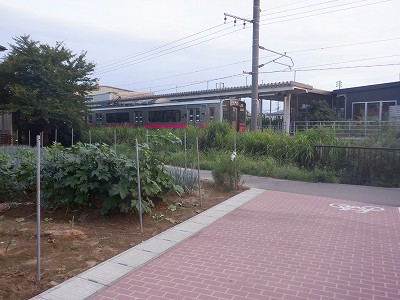 Ow摜