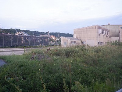 Ow摜