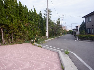 Ow摜