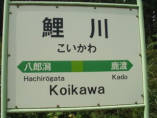 鯉川駅名標