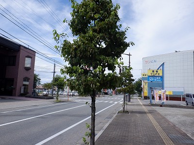 Osw摜