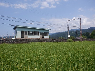 �����w�摜