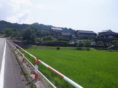 �����w�摜