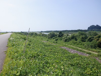 �����w�摜